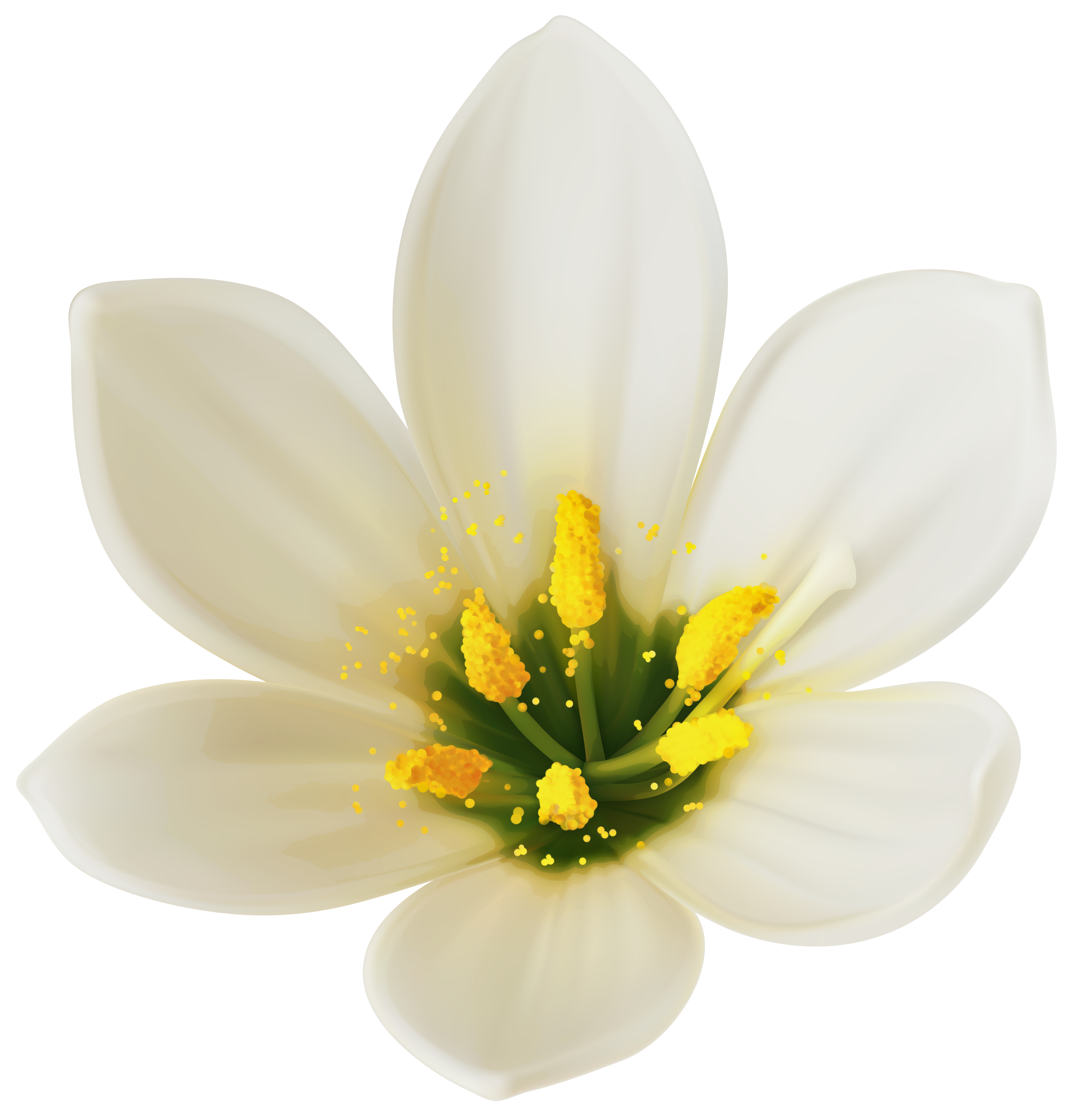 White flower clipart png. Image gallery yopriceville high