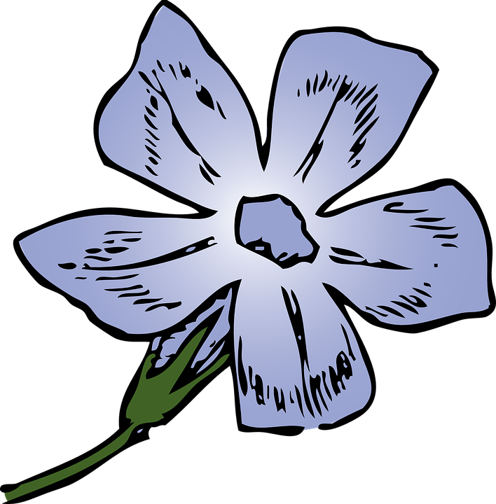 Of shop library . Flowers clipart outline
