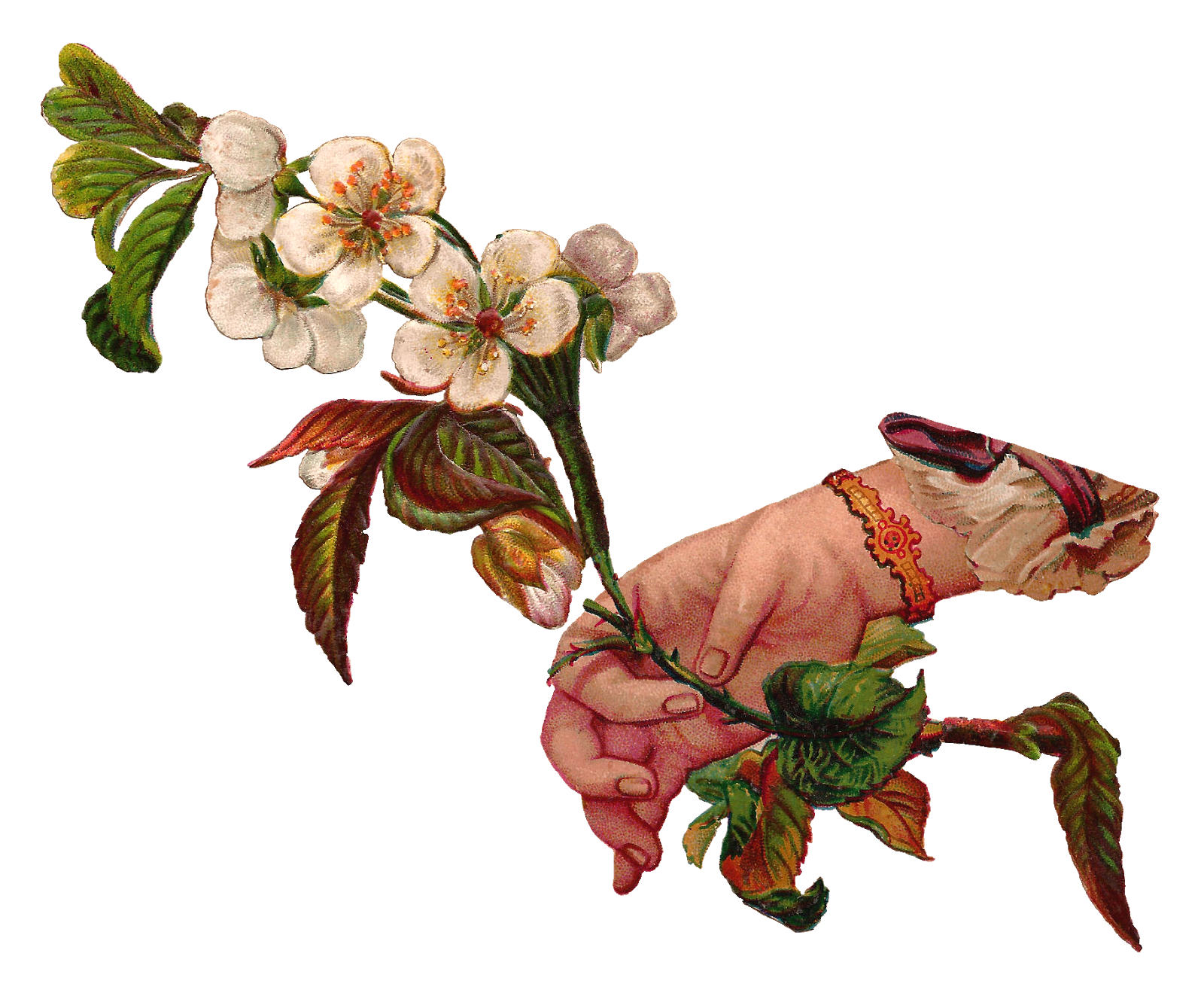 Flowers clipart row. 