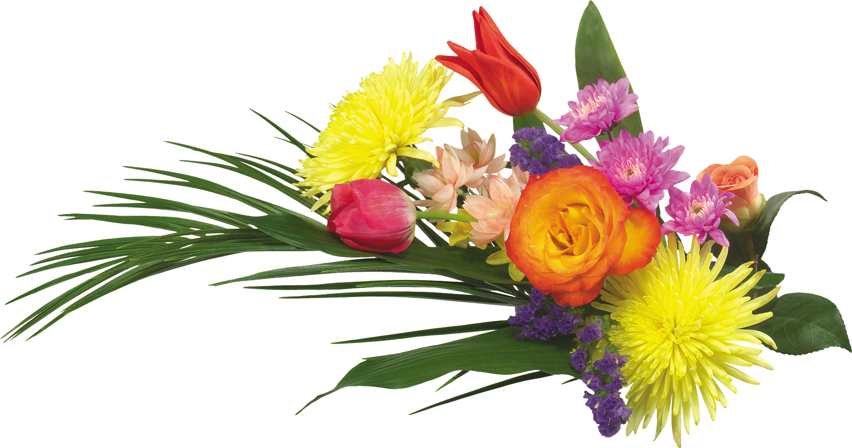 flowers png images