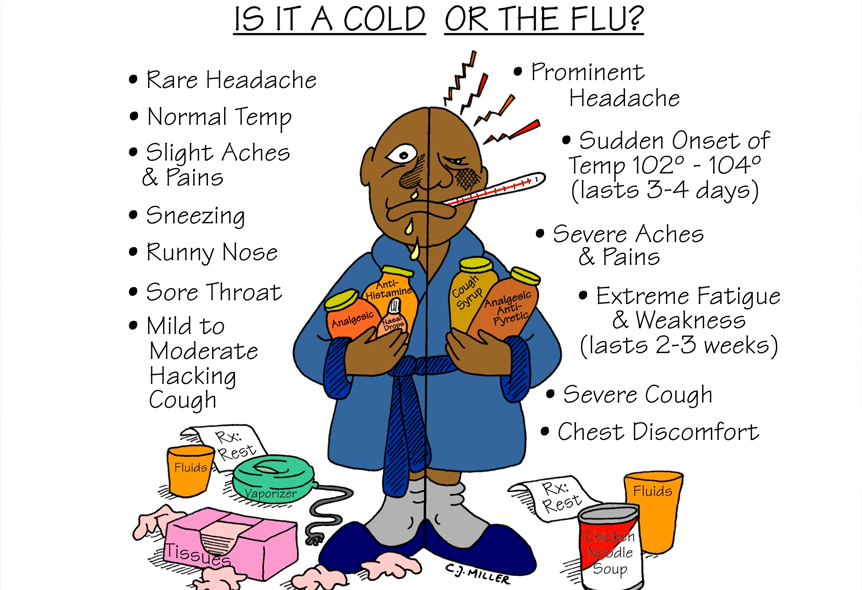 flu clipart cold cough