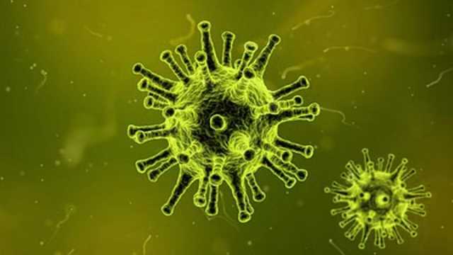 flu clipart macro virus