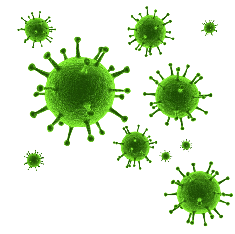 flu clipart pathogen