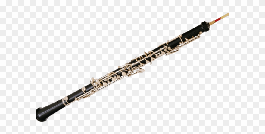 Drawn fluted double instrument. Flute clipart bassoon