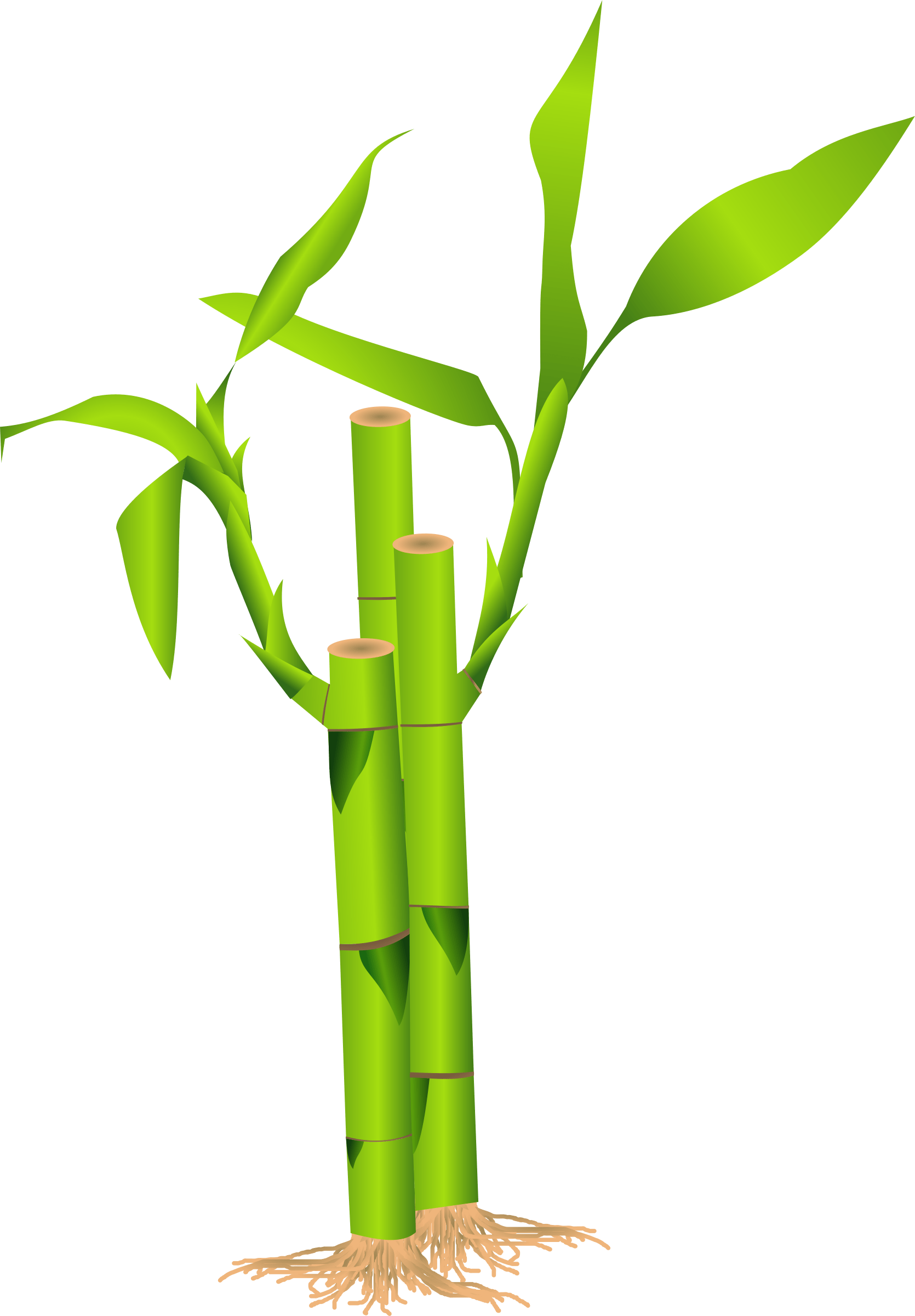 flutes clipart big bamboo