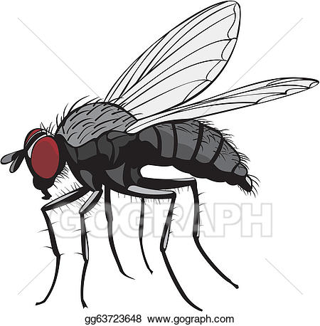 fly clipart house fly