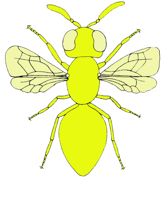 fly clipart mosca
