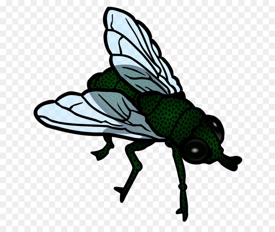 fly clipart mosquito