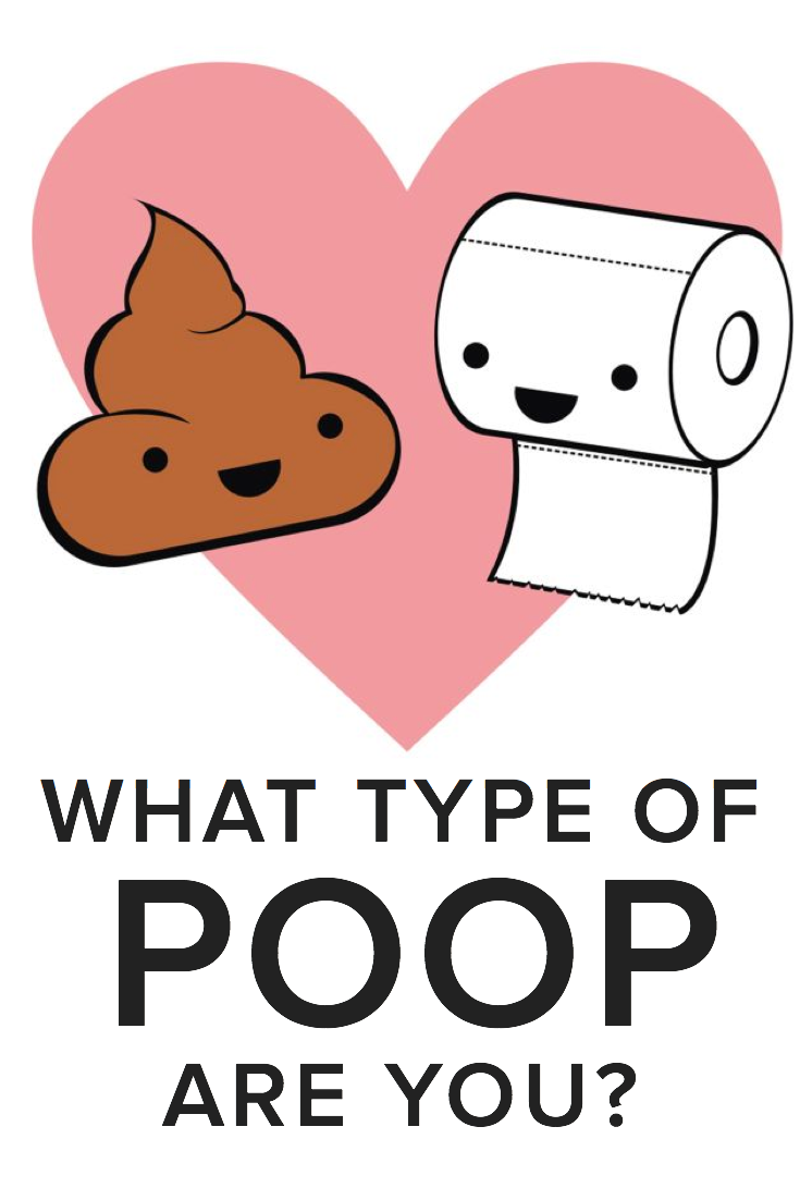 fly clipart poop