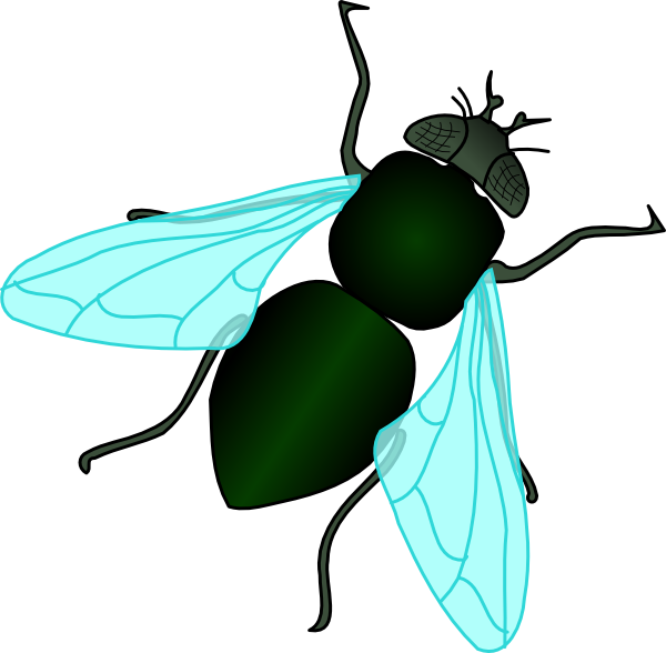 Fly clipart transparent. Clip art housefly cliparts