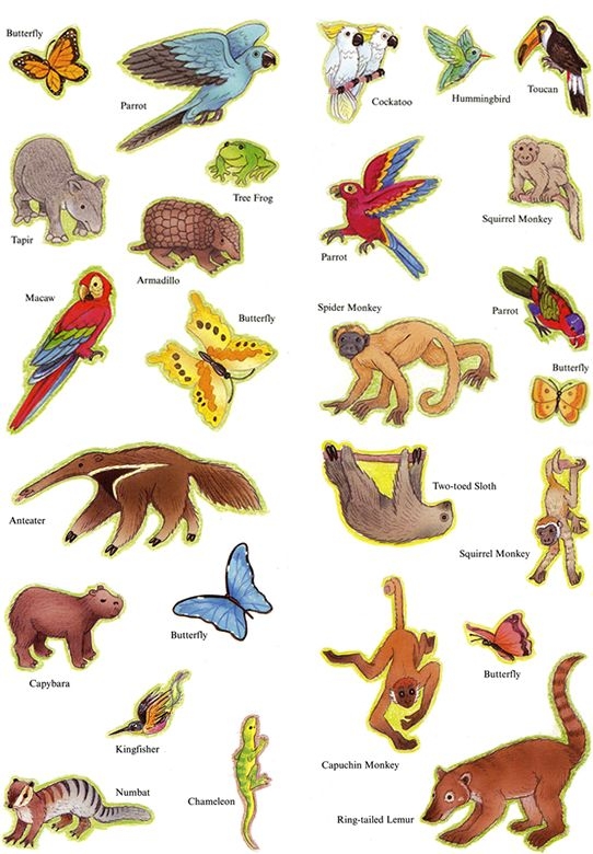 flying clipart air animal