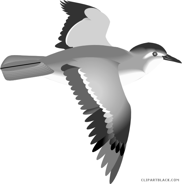 Flying clipart flyingbird. Bird clipartblack com animal