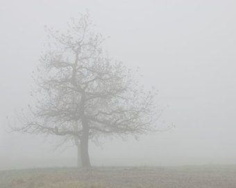 fog clipart foggy day
