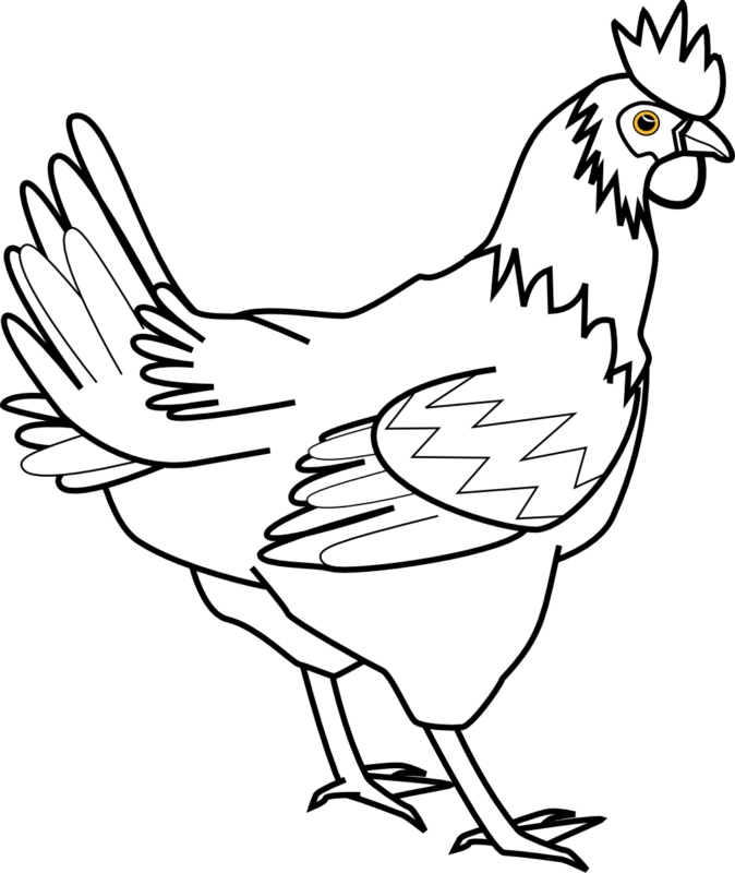 food clipart chicken