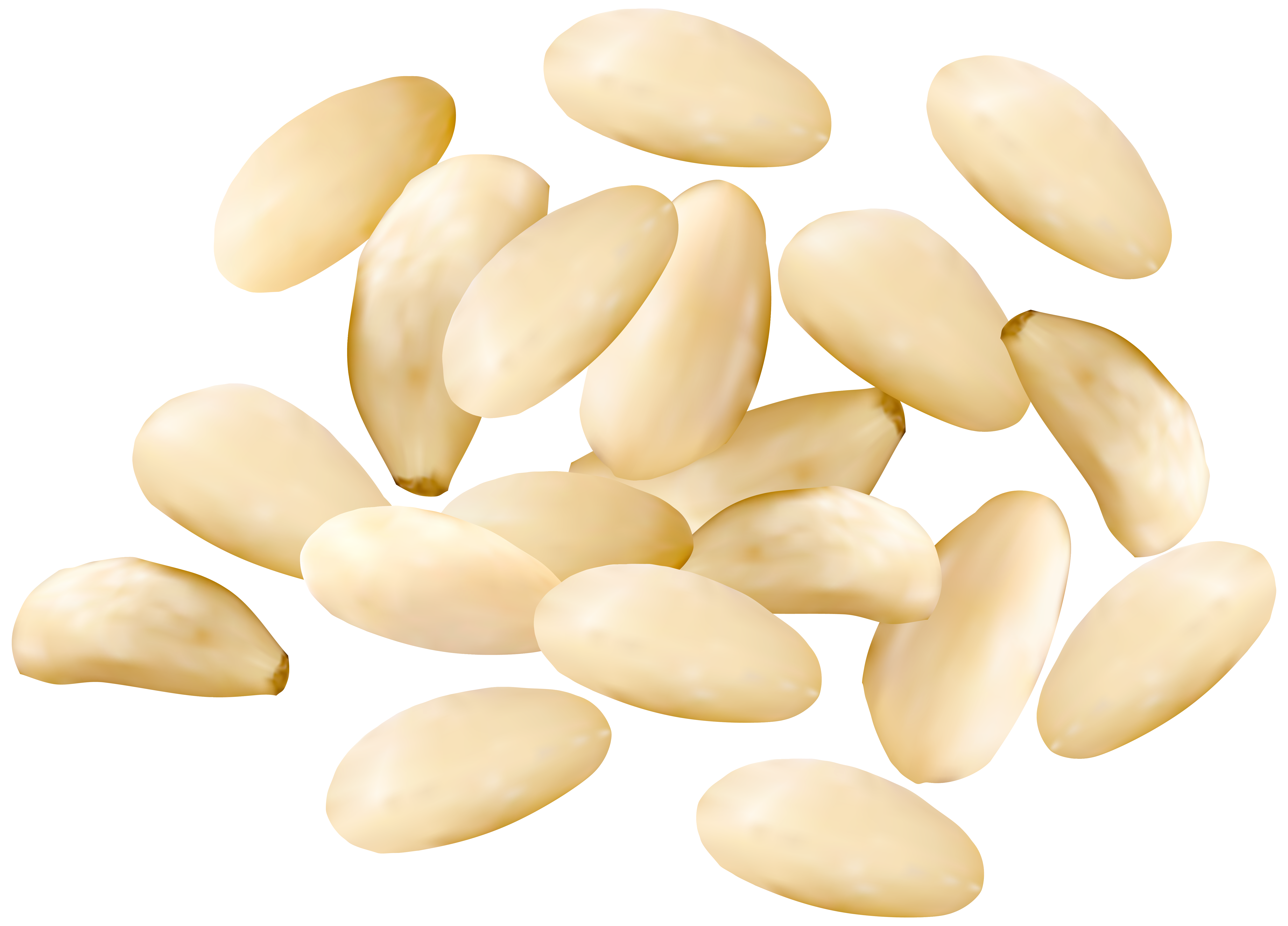 food clipart nuts