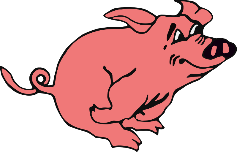hog clipart curly pig tail