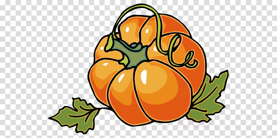 food clipart pumpkin