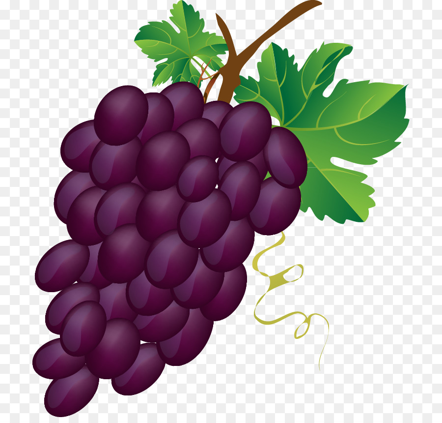 Grapes clipart seedless. Grape cartoon wine food