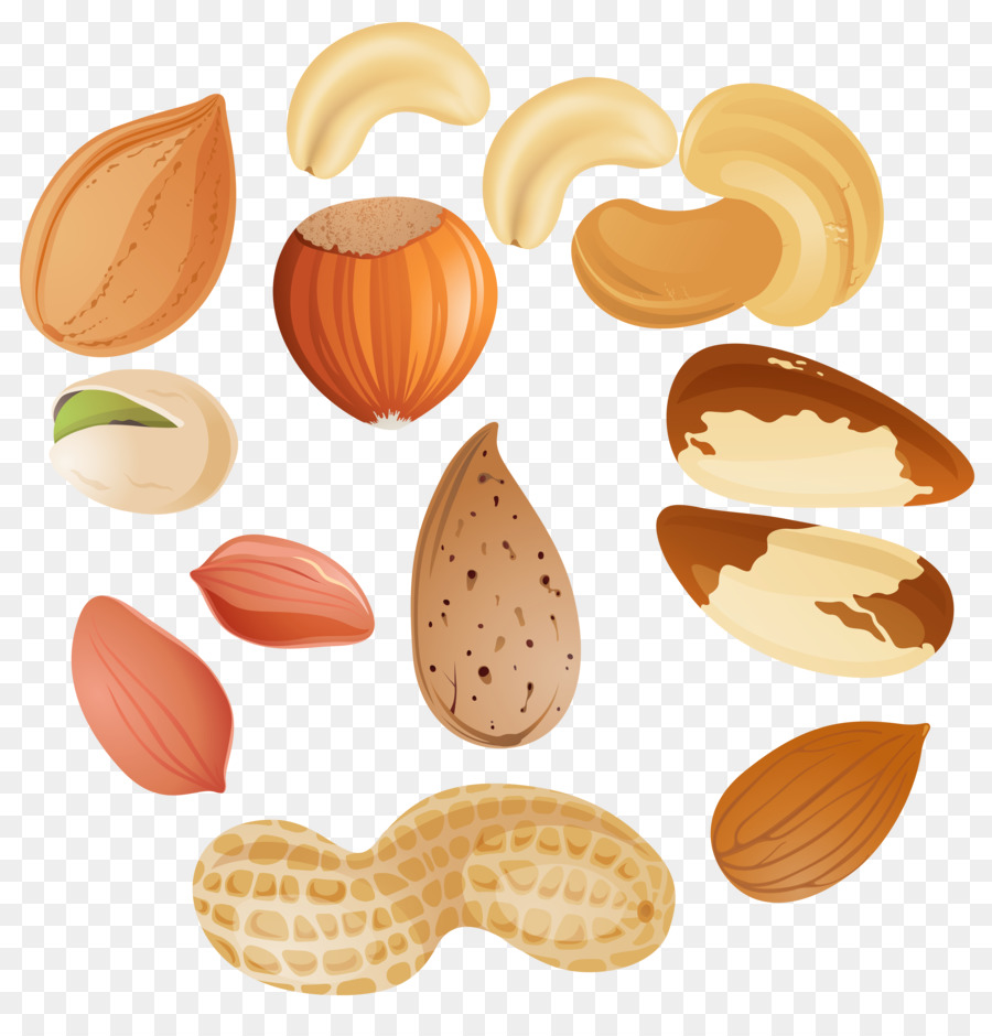 nuts clipart food