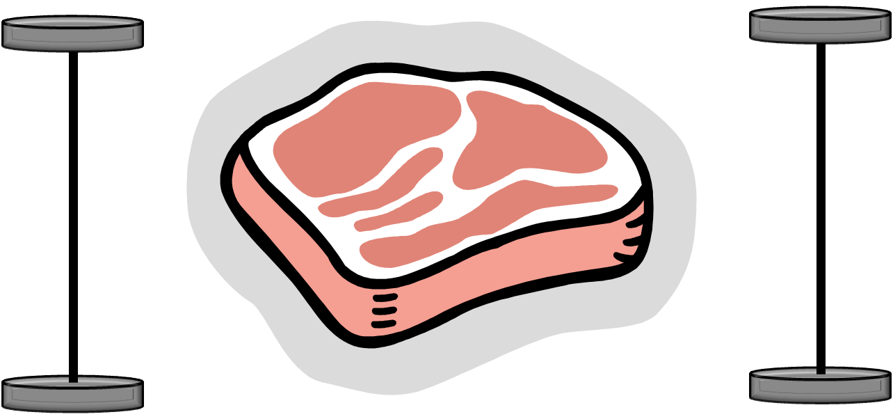 Meat pork tenderloin