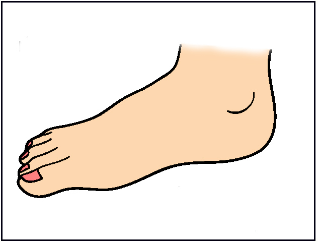 feet clipart body part