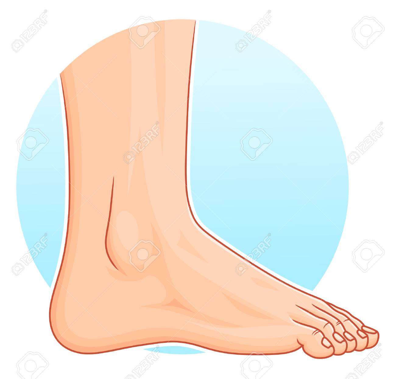 foot clipart human foot