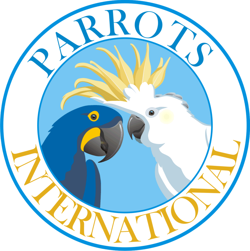parrot clipart hyacinth macaw