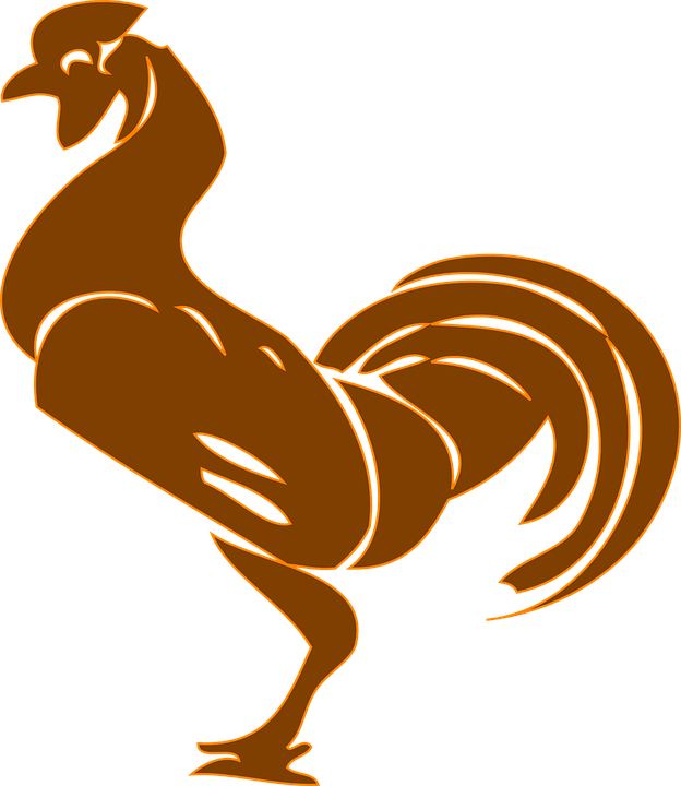 foot clipart rooster