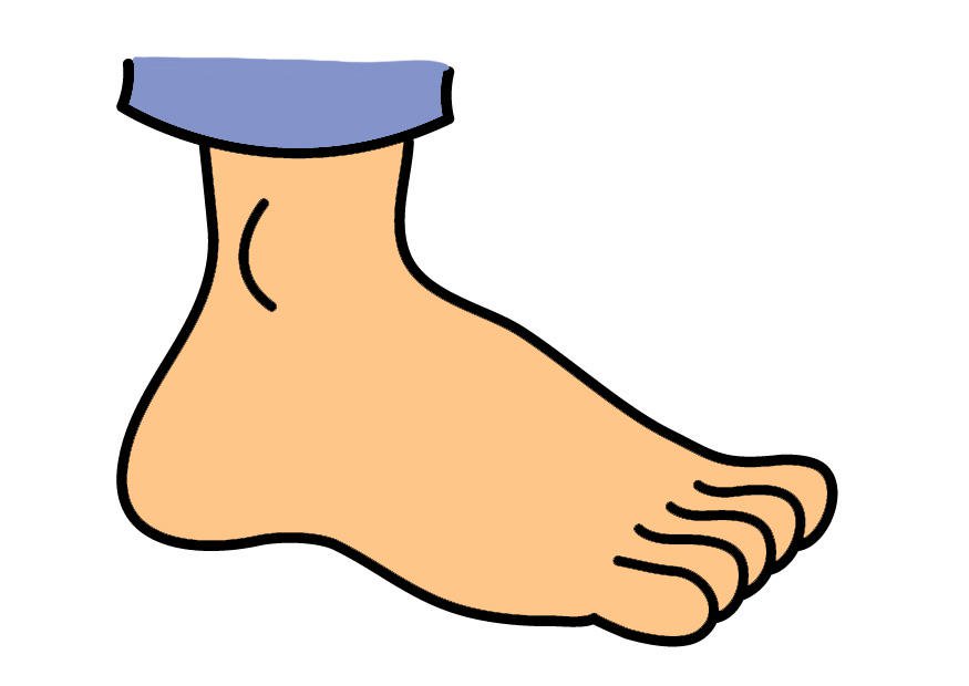Tags. foot clipart voet 2719050. 