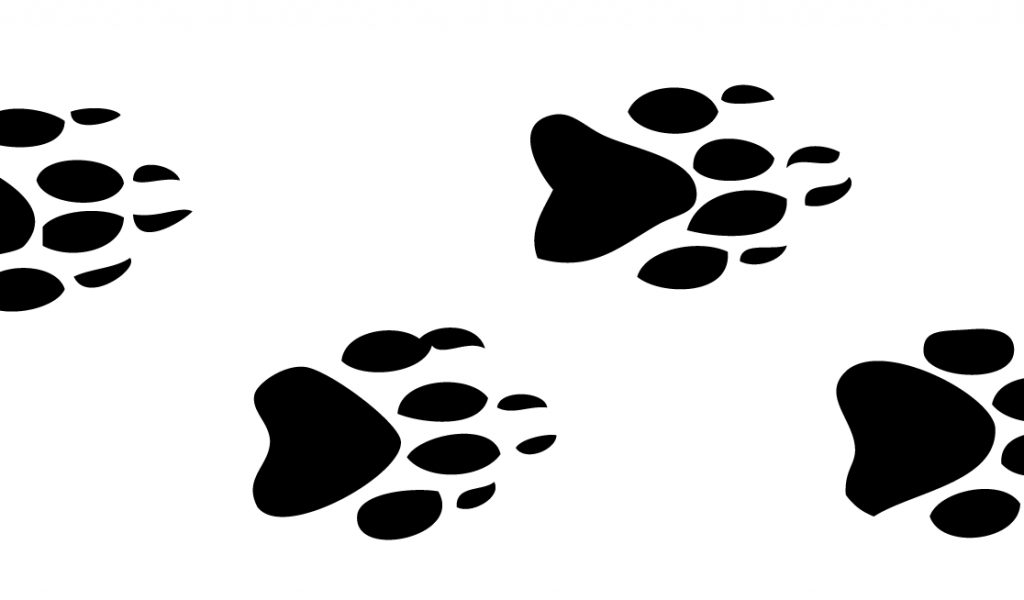 footprints clipart animal