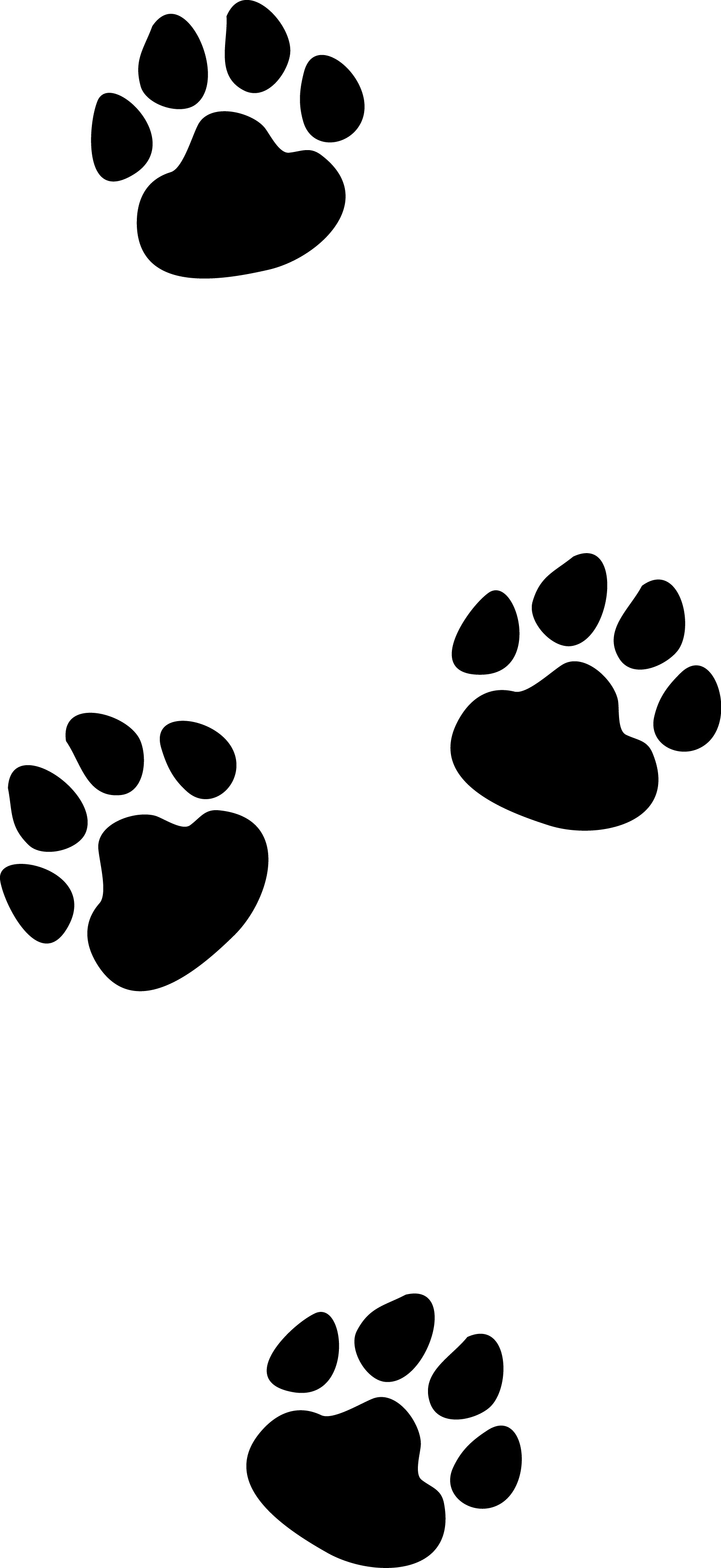 footprints clipart cat