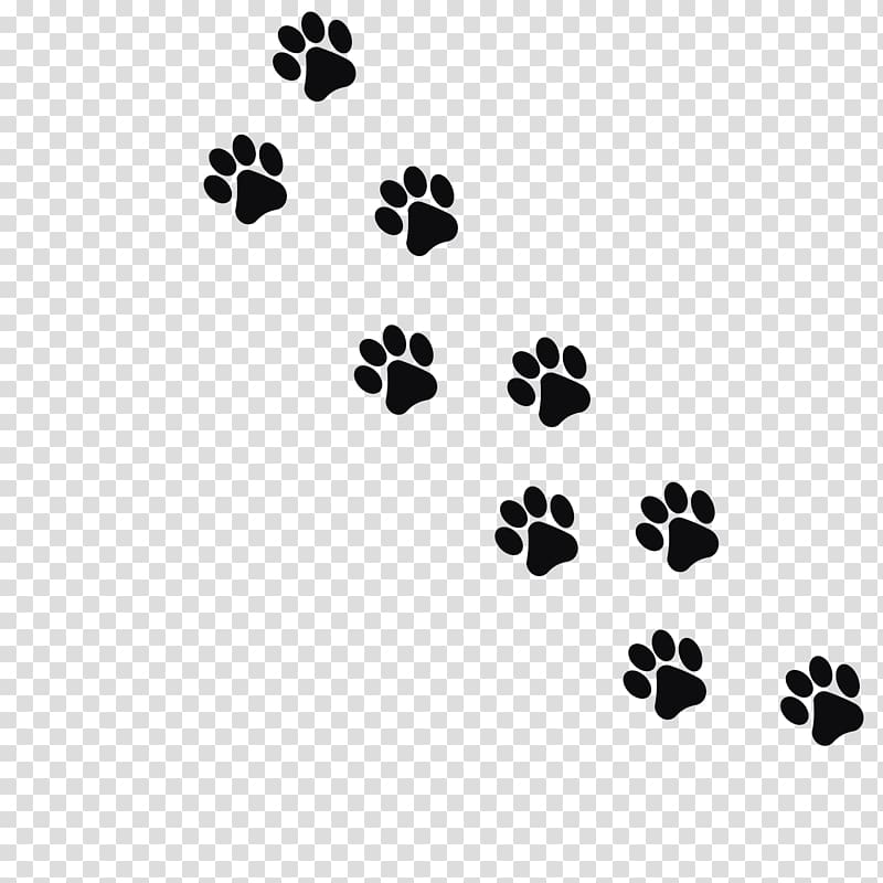 footprint clipart cat