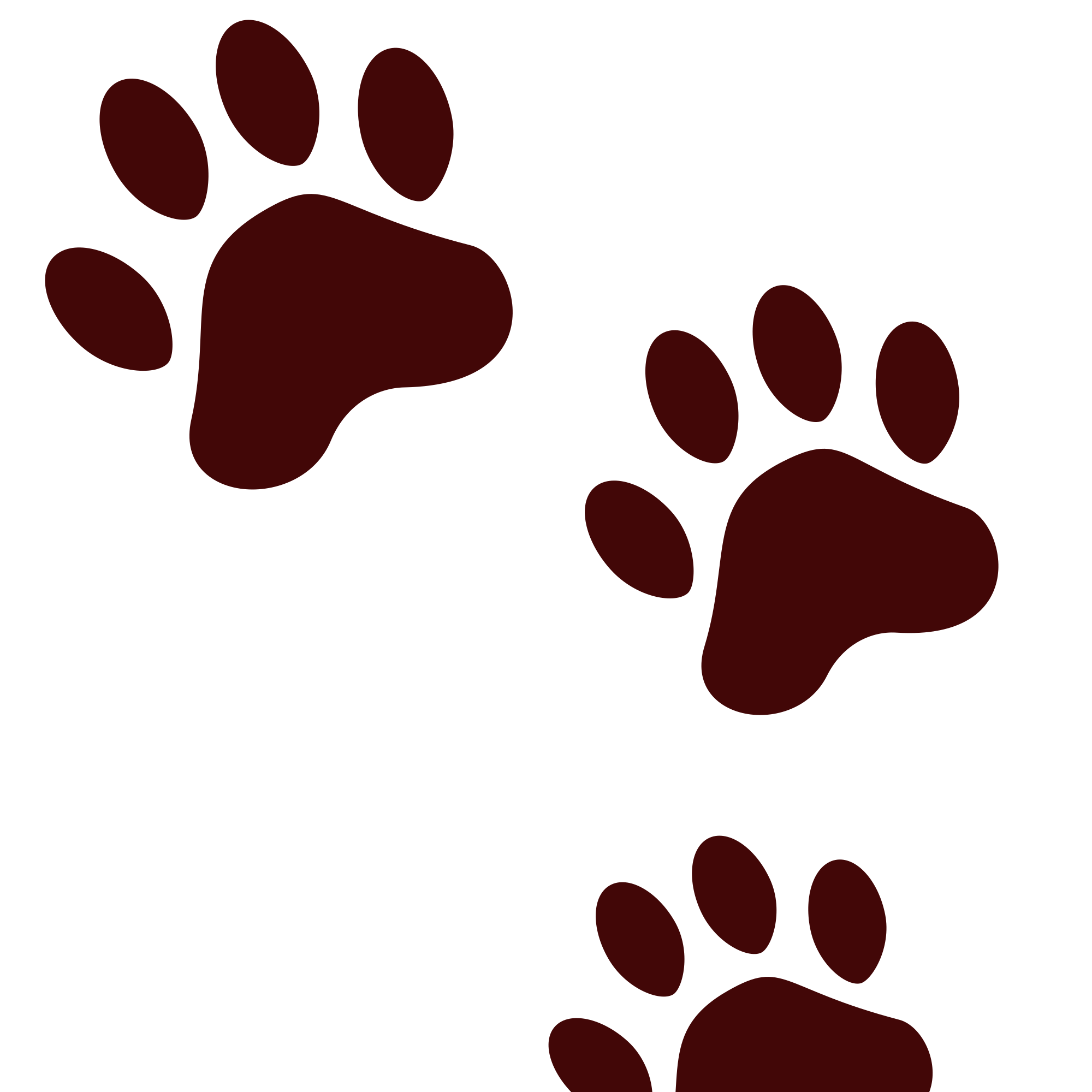 footprint clipart cheetah