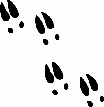 footprint clipart deer