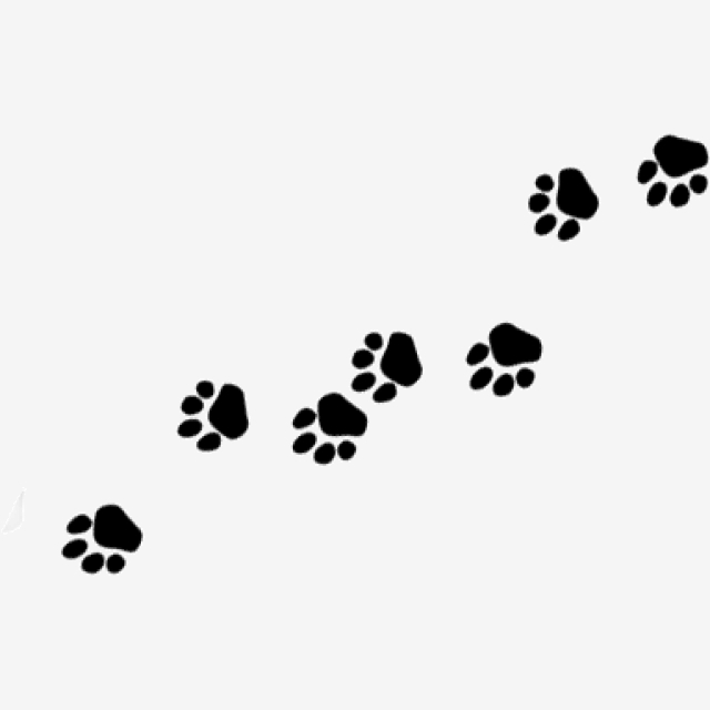 footprint clipart dog