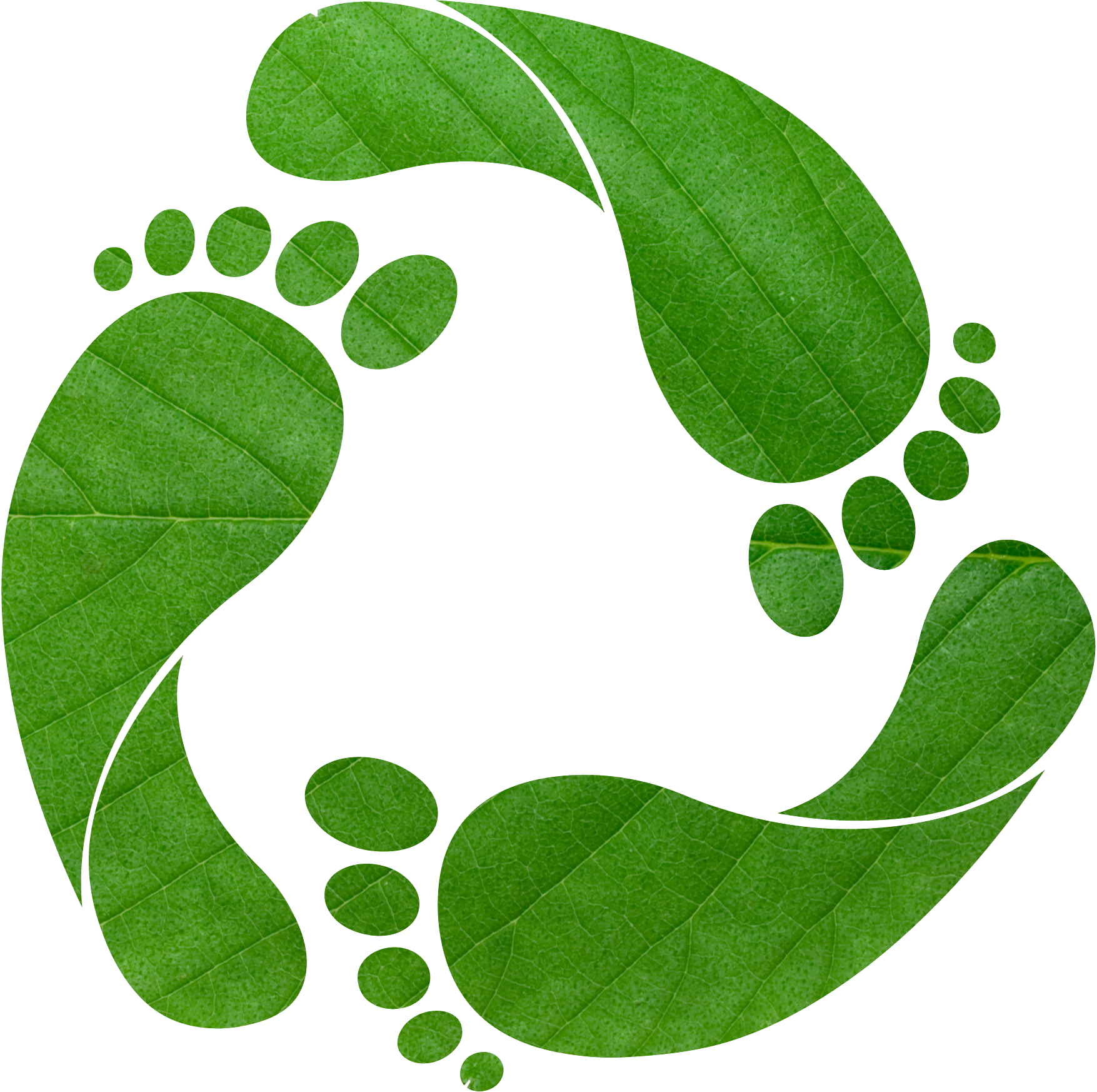 footprint clipart green footprint