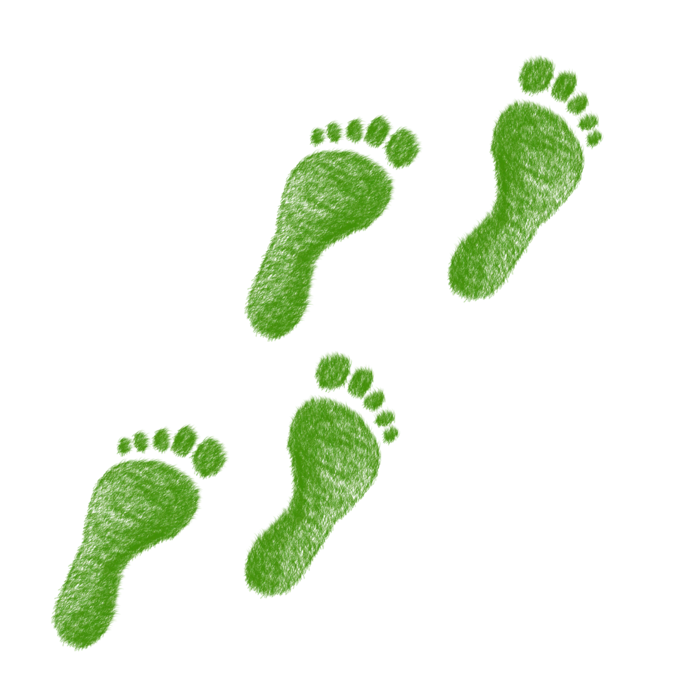 footprint clipart green footprint