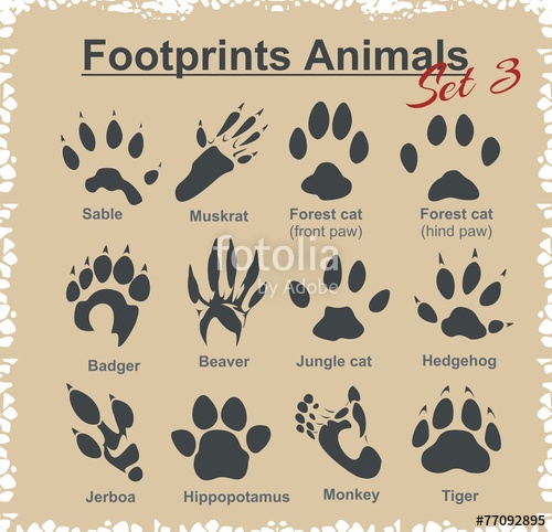 Footprint Clipart Hedgehog, Footprint Hedgehog Transparent Free For 