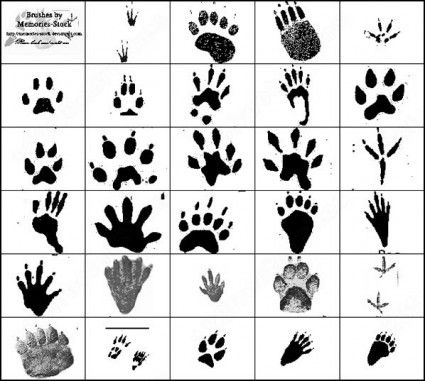 footprint clipart jaguar