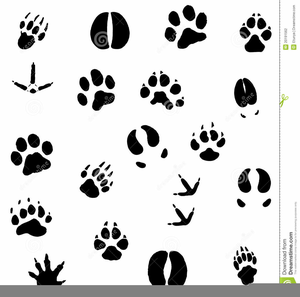Footprints clipart lion. Footprint free images at