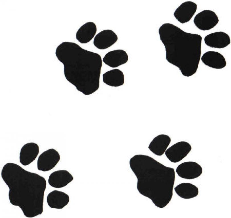 Footprint clipart panther. Free download clip art
