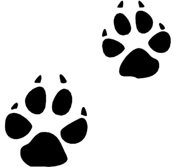 footprints clipart animal