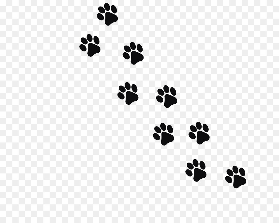 footprints clipart cat