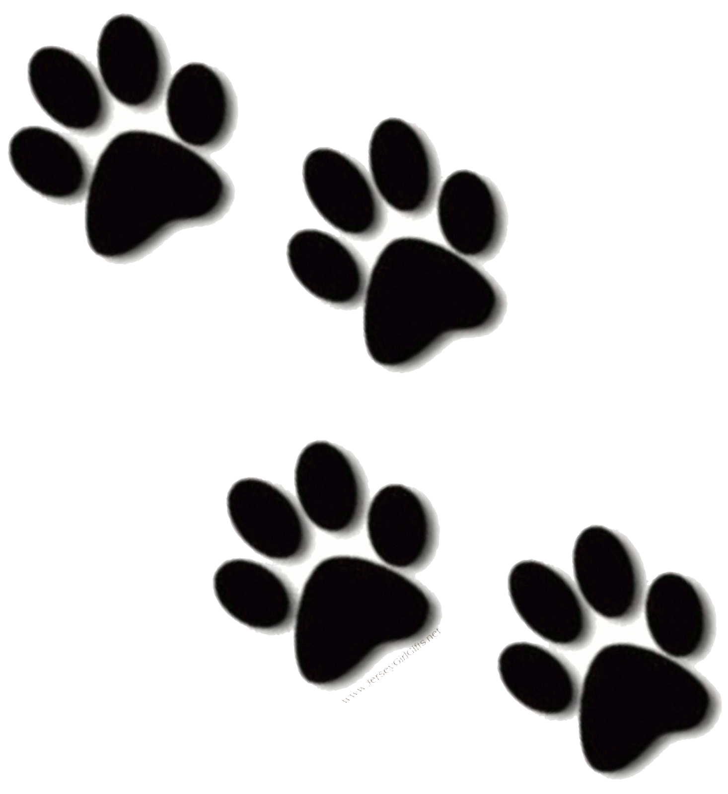 dog and cat paw print