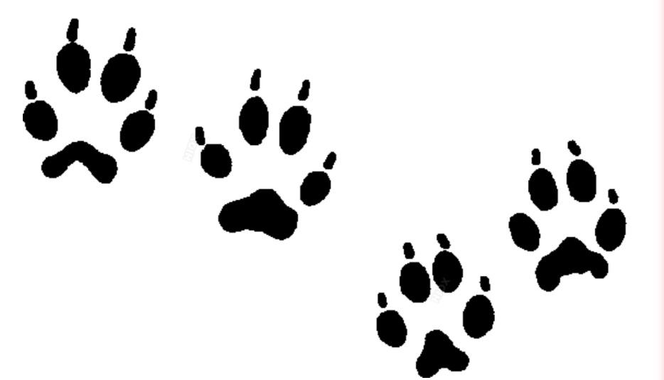 footprints clipart fox
