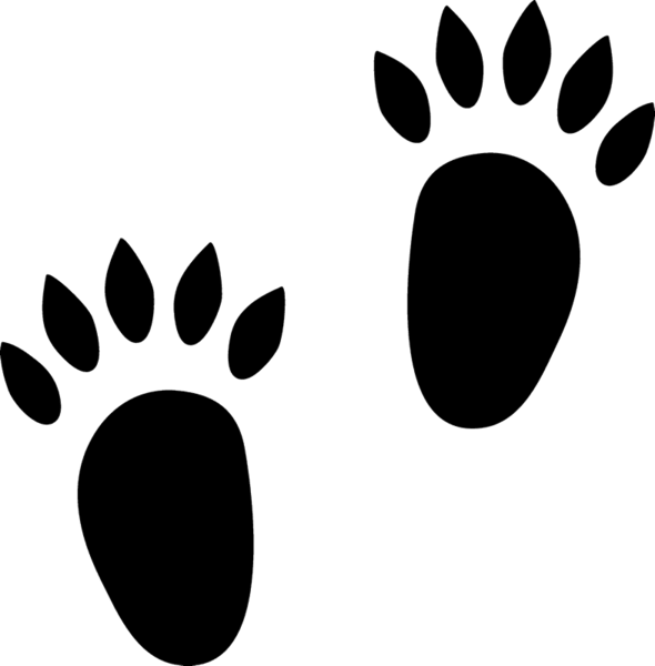 footprints clipart hedgehog