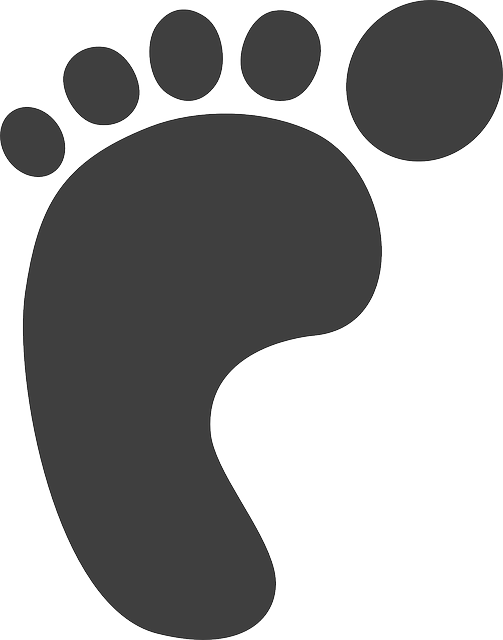 llama clipart footprint