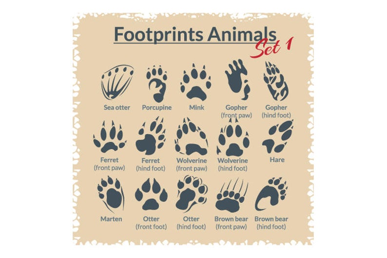 footprints clipart pdf