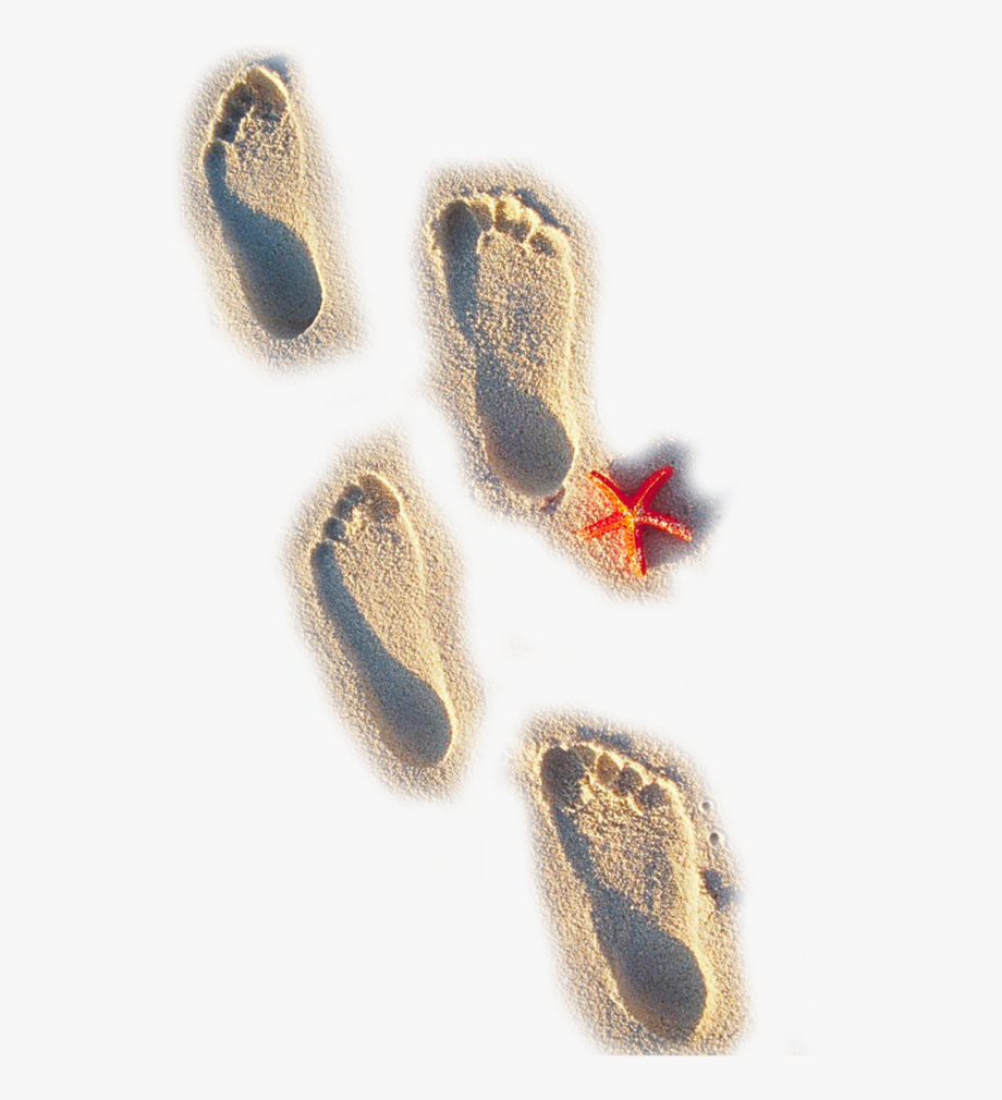 Footsteps clipart beach. Footprints in sand cliparts