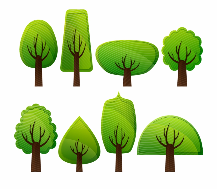 Forest clipart arboles. Deciduous trees broad leafed